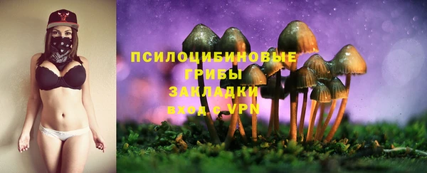 соль ск Белокуриха