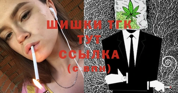 соль ск Белокуриха