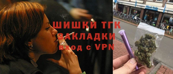 соль ск Белокуриха