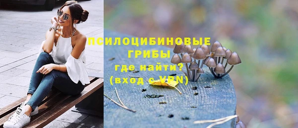 соль ск Белокуриха